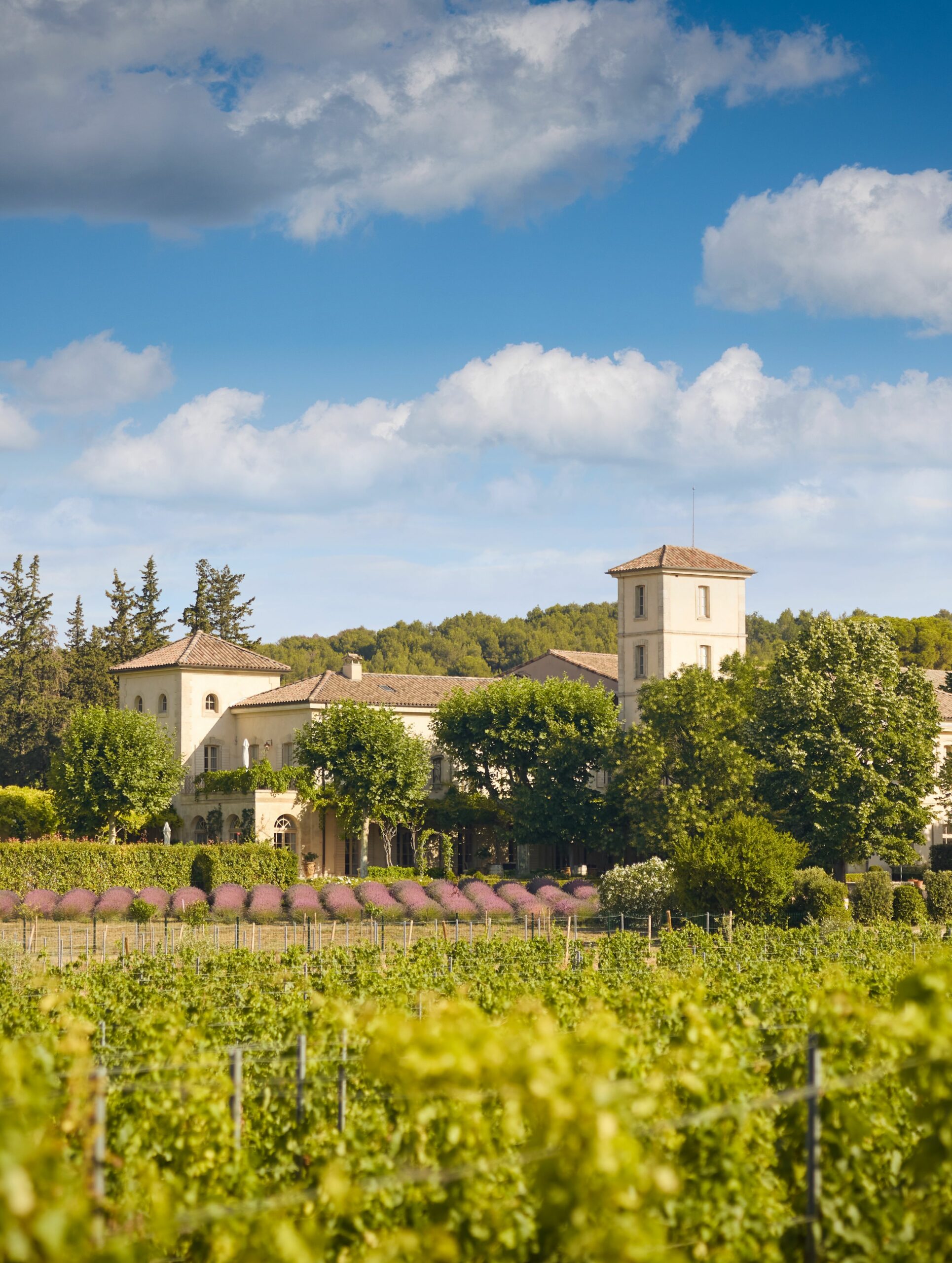 château gigognan nature