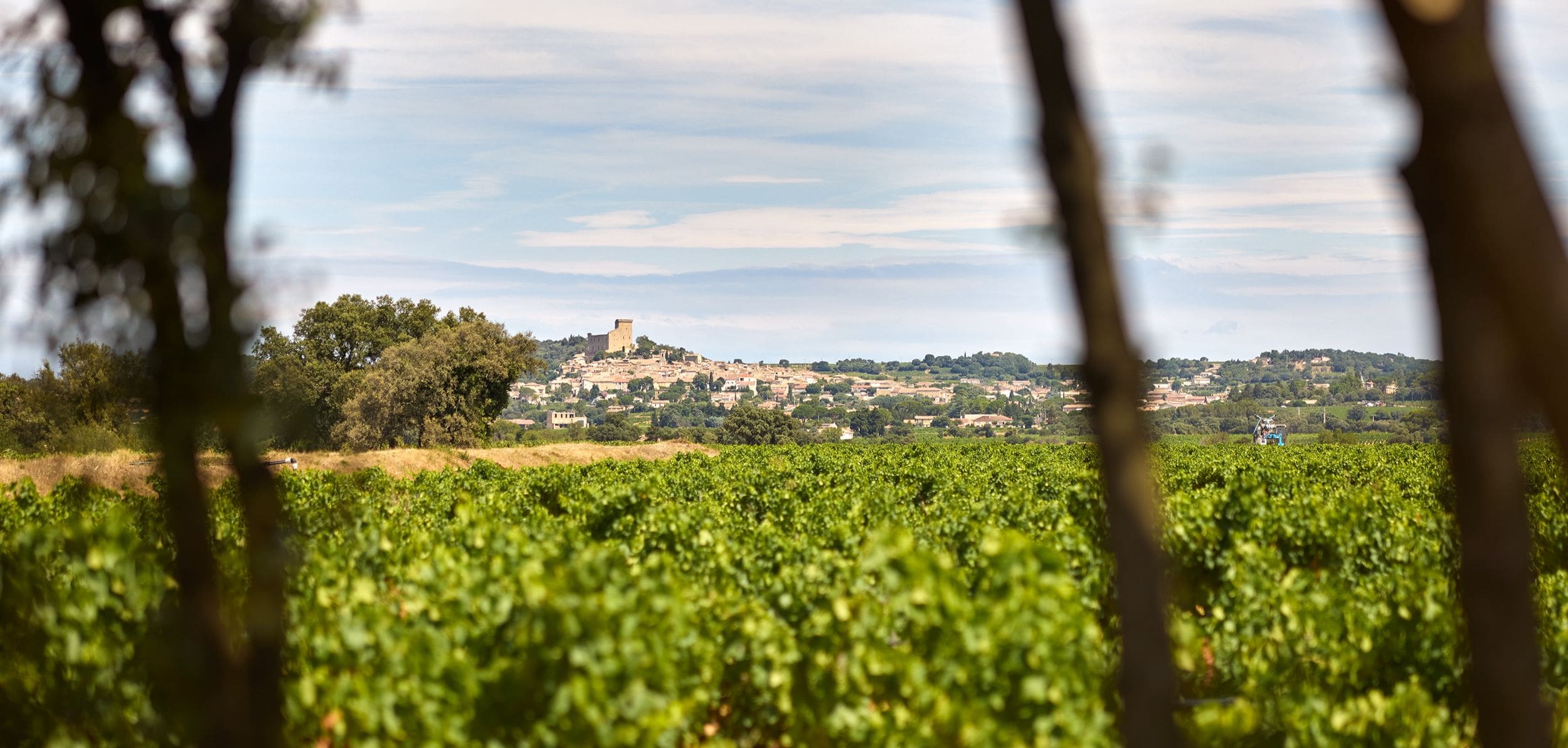 Photo vigne avec château Gigognan 